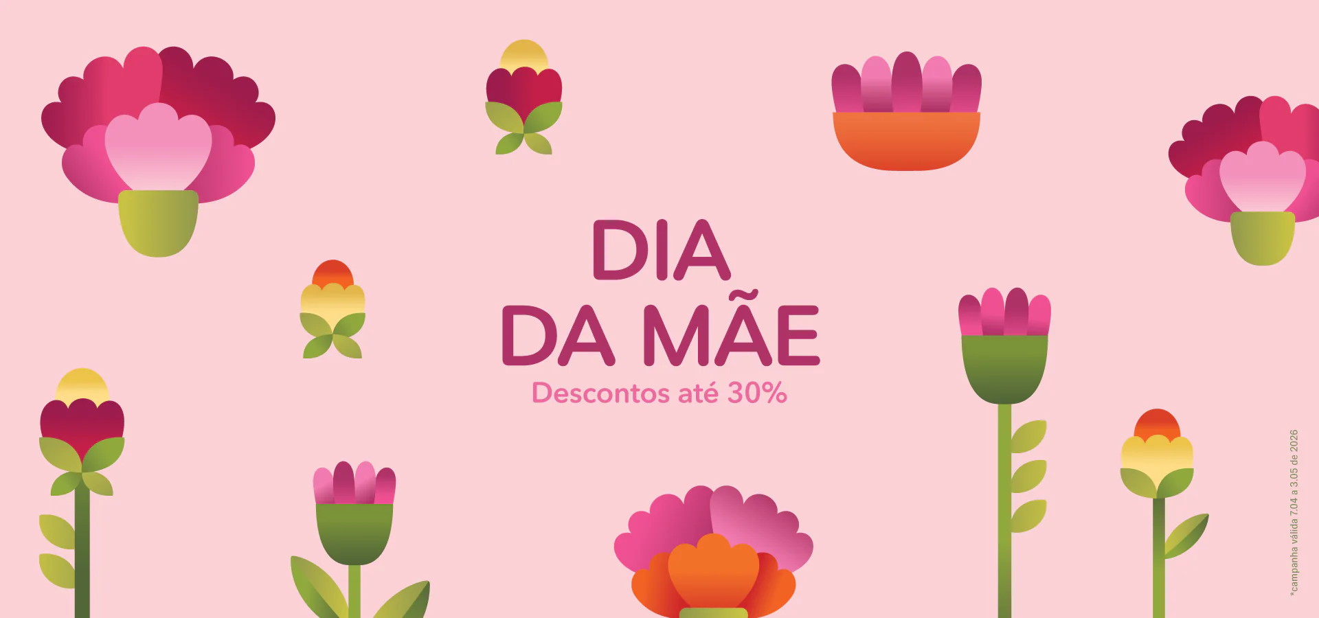 Organize o Seu Sucesso Diário